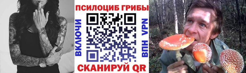Галлюциногенные грибы MAGIC MUSHROOMS  кракен ONION  Муром 