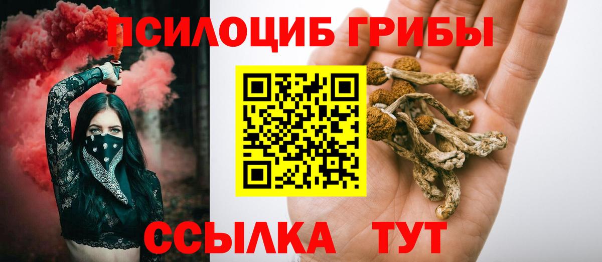 Псилоцибиновые грибы мухоморы Муром
