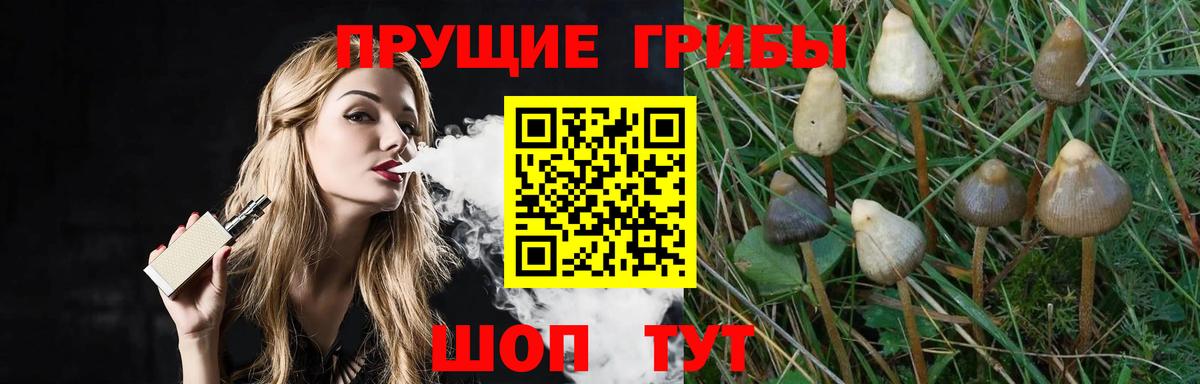 Галлюциногенные грибы Magic Shrooms Муром