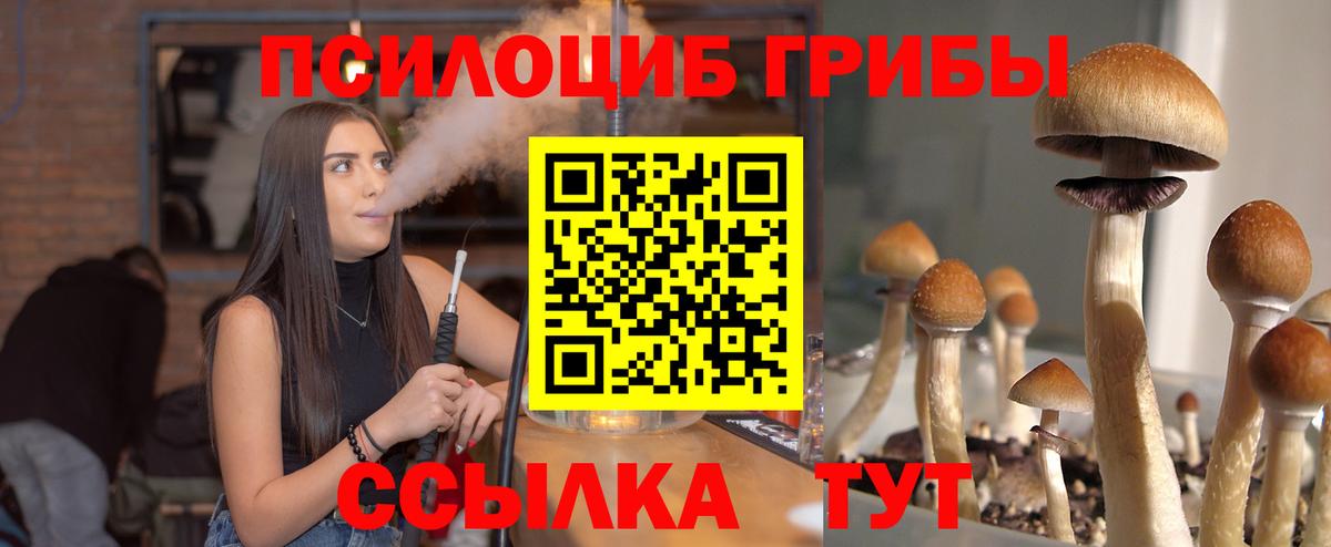 Псилоцибиновые грибы прущие грибы  сколько стоит  Муром  Галлюциногенные грибы GOLDEN TEACHER 